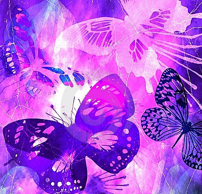 violet-butterfly